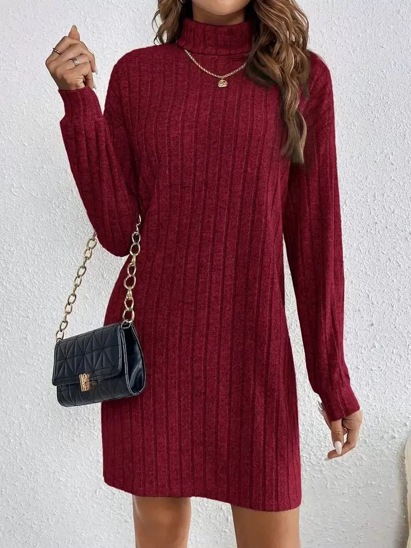 Dorothy | Ribbed Knit Turtleneck Long Sleeve Dress